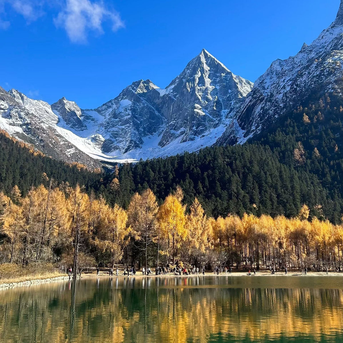 Finding My Rhythm at 3,200 Meters: A Trek Through Siguniang Mountain
