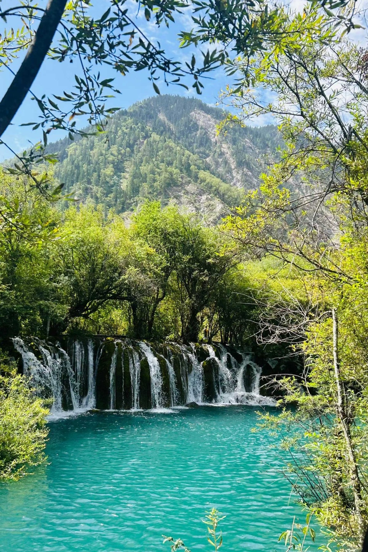 Lost in the "Fairyland": Exploring the Vivid Waters of Jiuzhaigou & Huanglong - TACVASEN