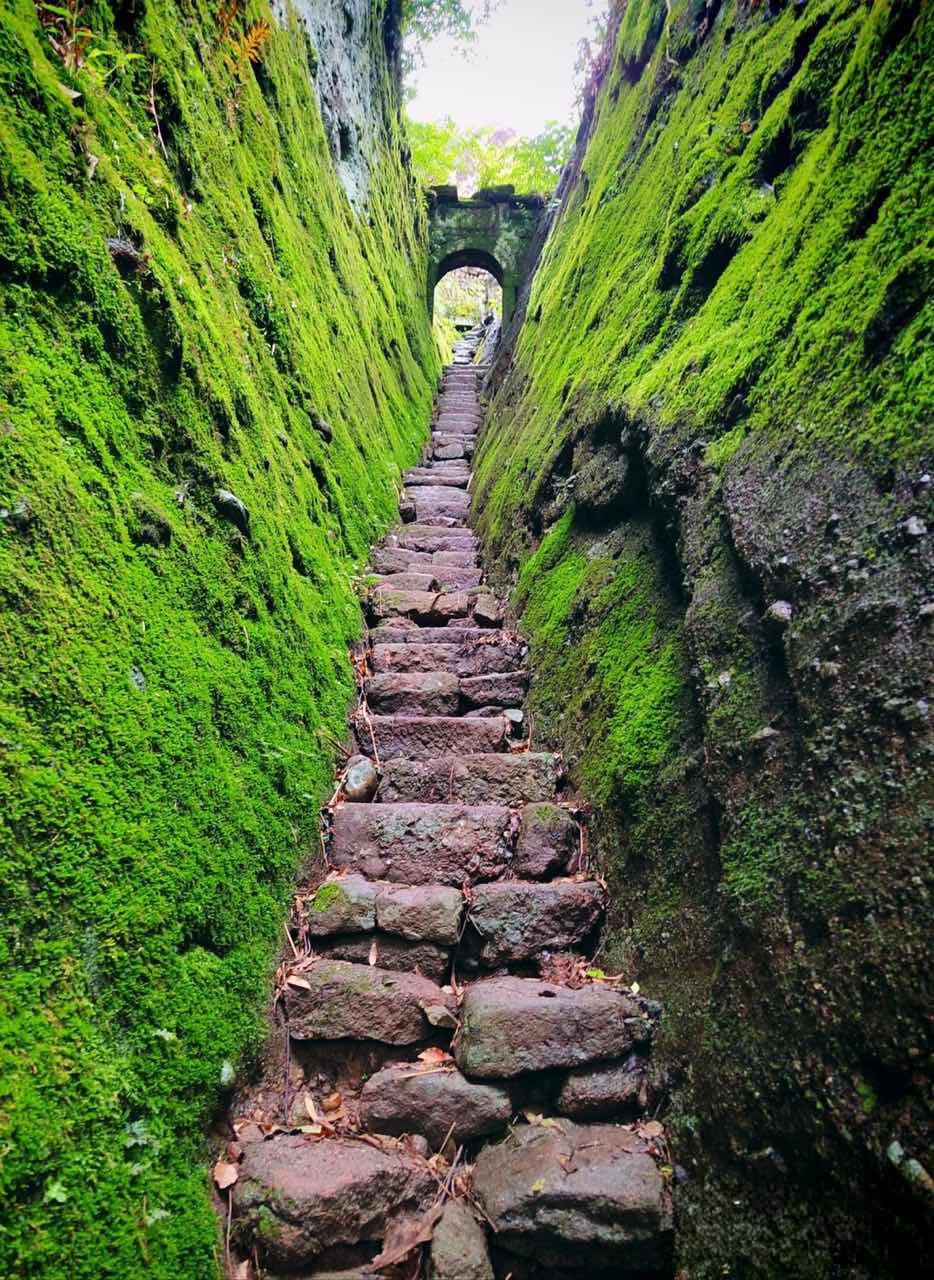 Wuyi Mountain Backpacking Trip: 3 Days of Hiking Through Red Danxia & Green Waters